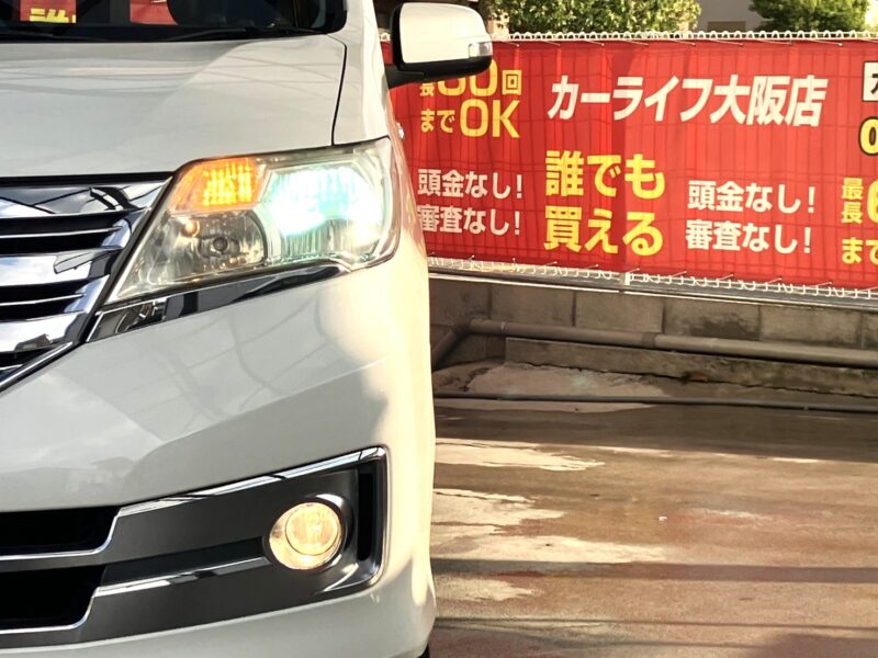 セレナ ライダー S-HV