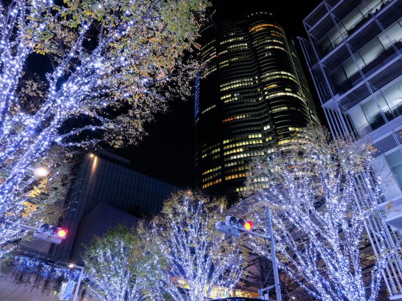 🎄全国人気イルミネーションランキングトップ5