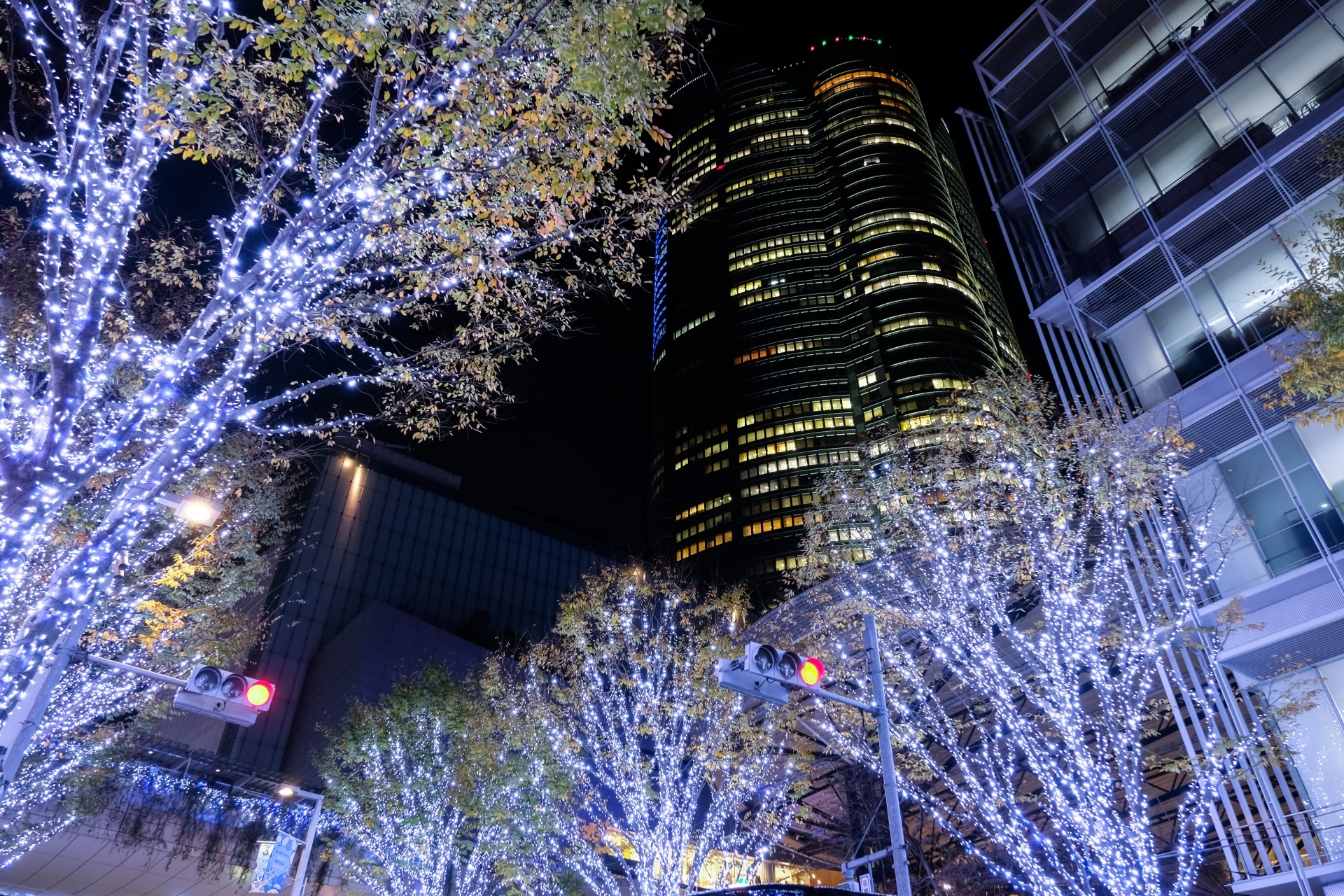 🎄全国人気イルミネーションランキングトップ5