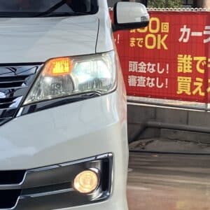 セレナ ライダー S-HV