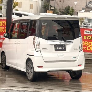 デイズルークス　ライダー