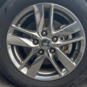 セレナ　ライダー　S-HV　【総合評価優良車】