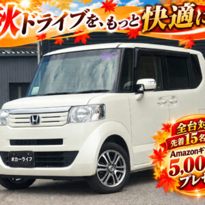 N-BOX G・Lパッケージ 4WD