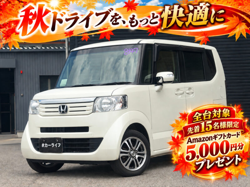 N-BOX G・Lパッケージ 4WD
