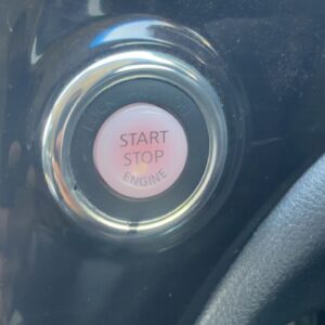 エルグランド　HWS　アーバンクロム【総合評価優良車】