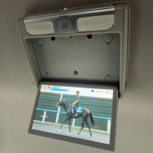 ステップワゴンスパーダ　Z クールスピリット【総合評価優良車】
