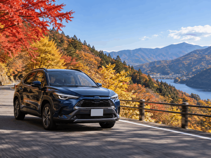 紅葉ドライブで気をつけたい！濡れた落ち葉・霧・山道の安全運転