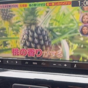 ソリオ　ブラック&ホワイト 4WD