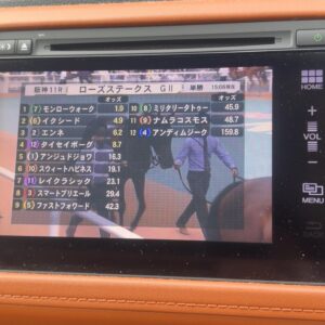 ヴェゼル　ハイブリッド Z